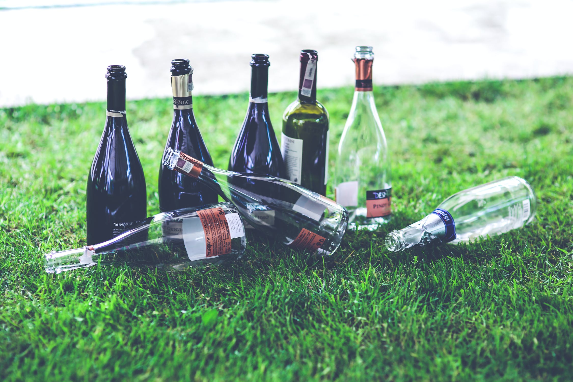 8 empty wine bottles on green grass